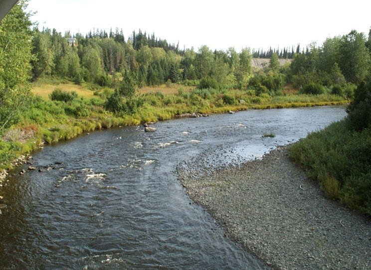 Anchor River State Recreation Area, Alaska, USA